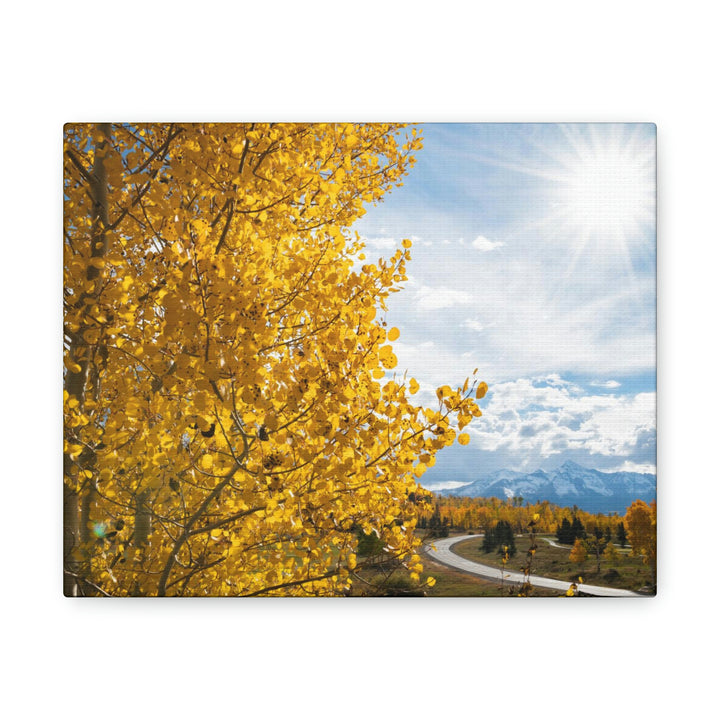 Golden Sunshine - Canvas