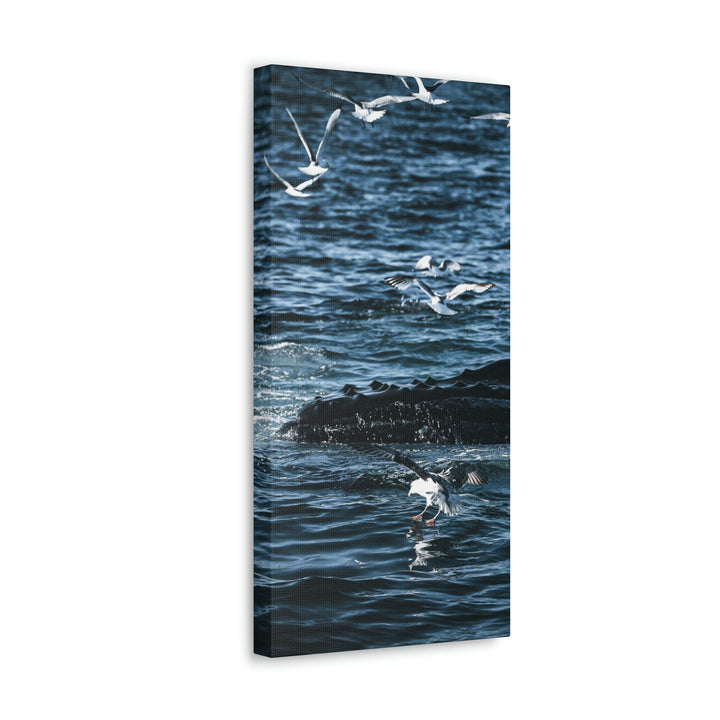 Humpback Hello - Canvas