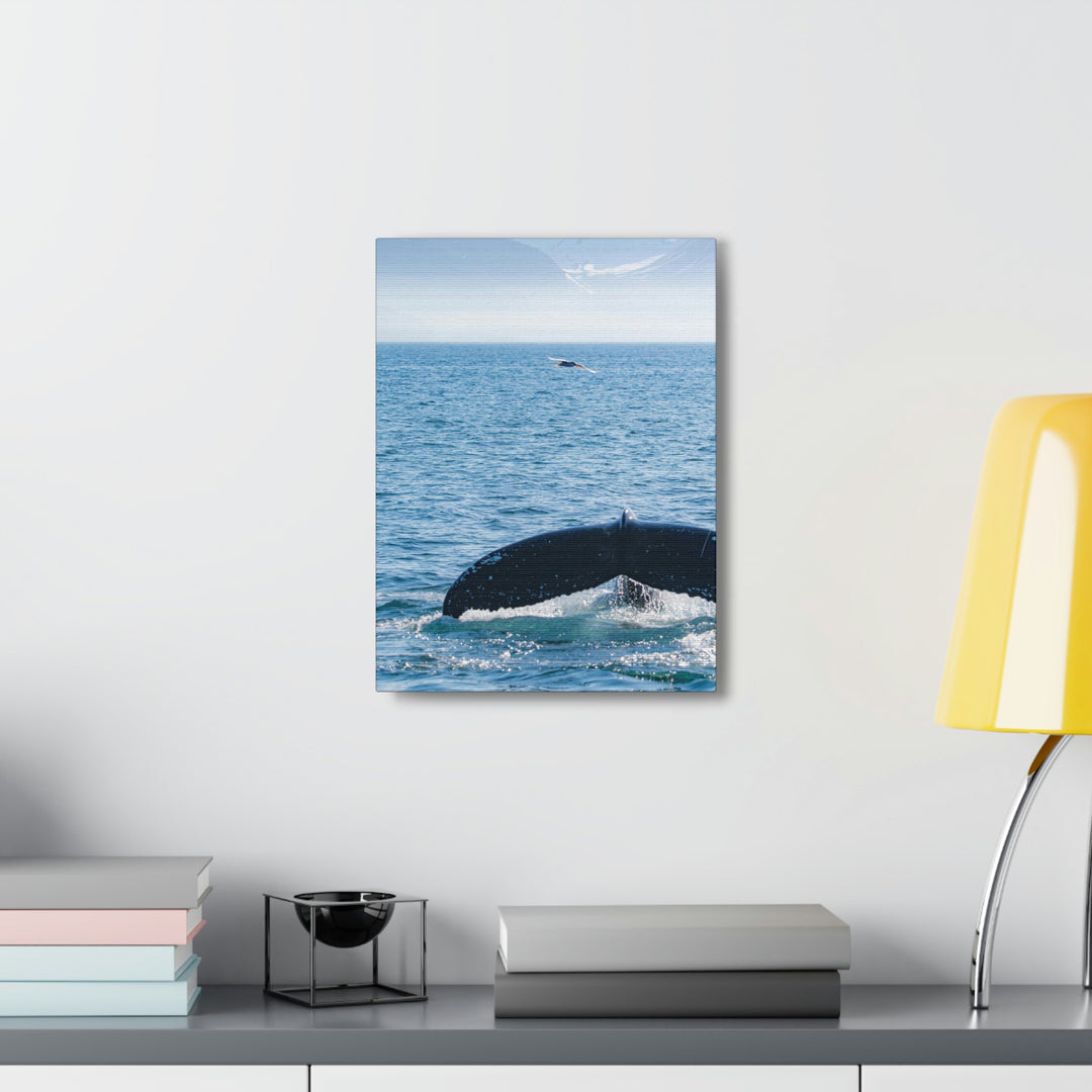 A Whale and A Mountain - Canvas