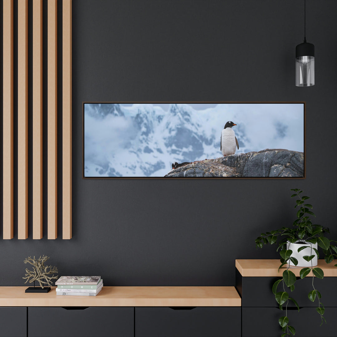 Poised Penguin - Canvas with Frame