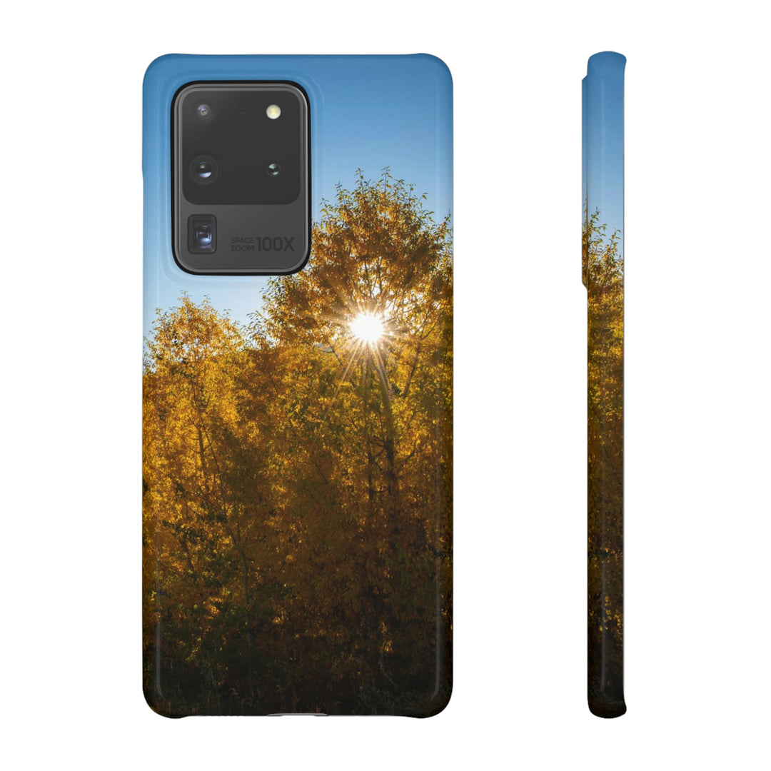 Sun Through the Aspens - Phone Case