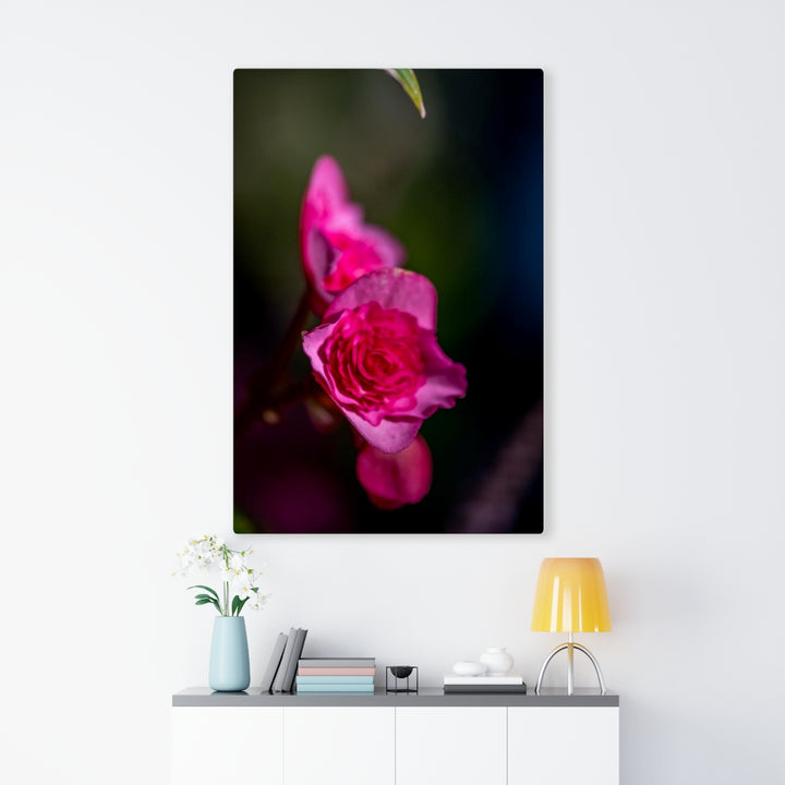 Hybrid Tea Lily - Canvas