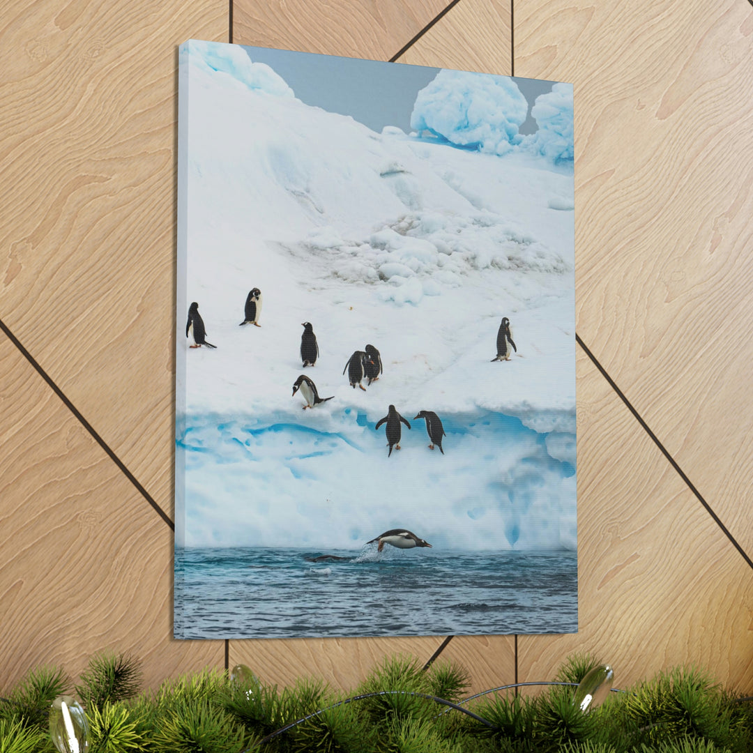 Porpoising Penguin - Canvas