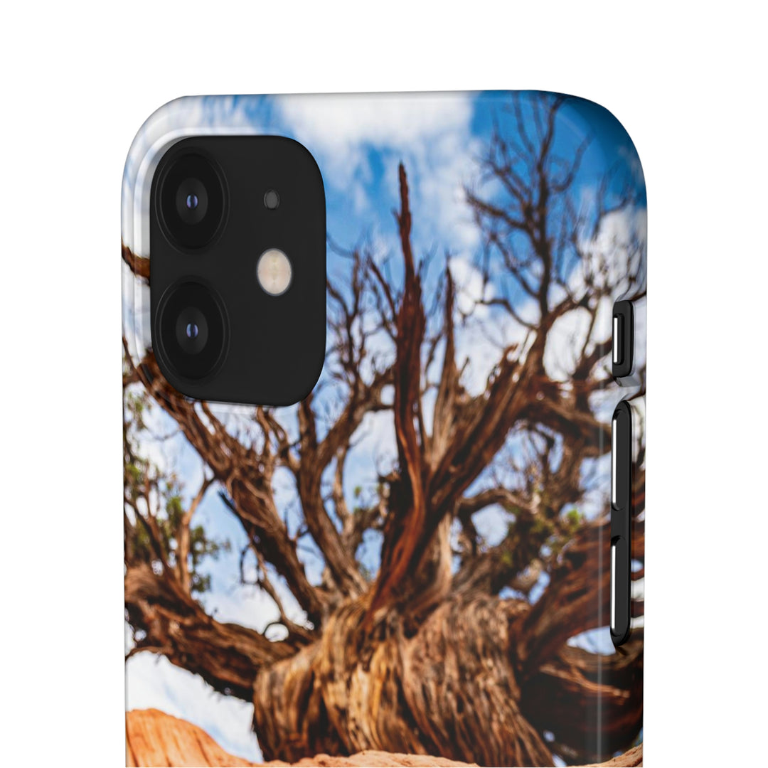 Desert Reach - Phone Case