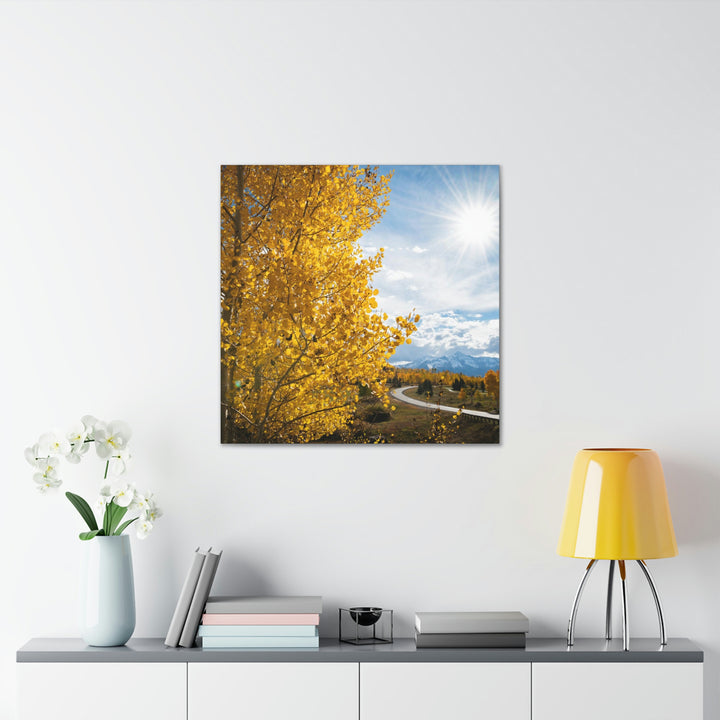 Golden Sunshine - Canvas