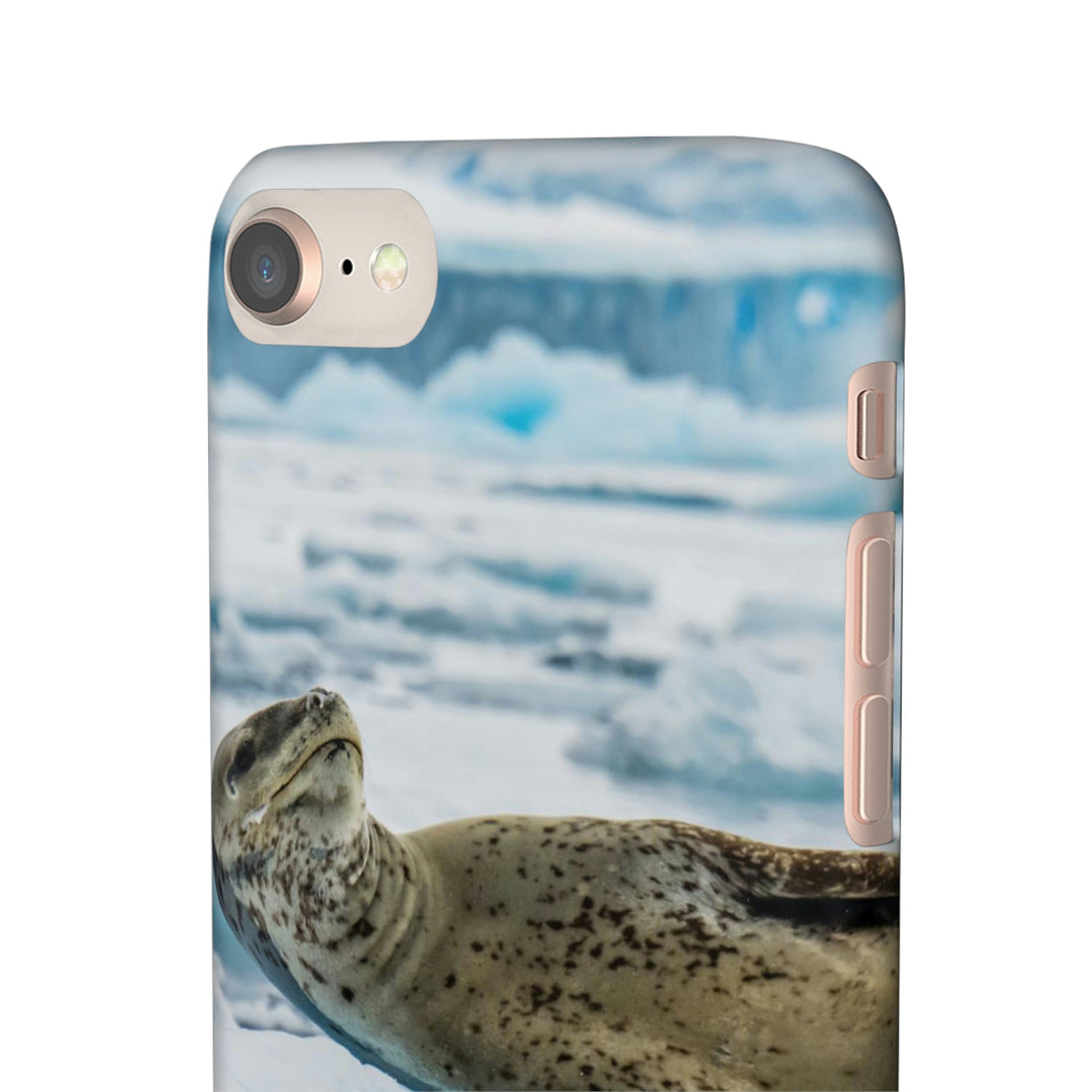 Leopard Seal Relaxing - Phone Case