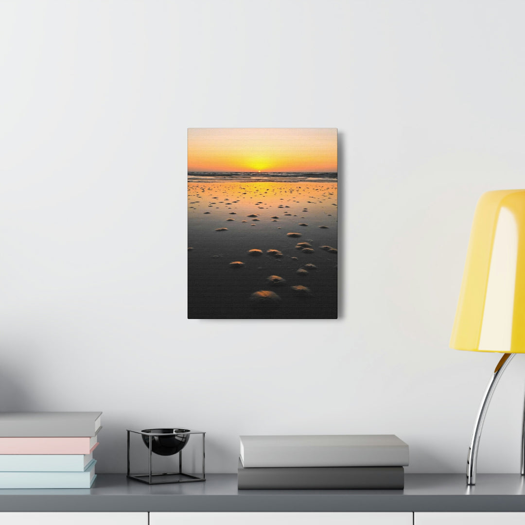 Burrows at Sunrise - Canvas