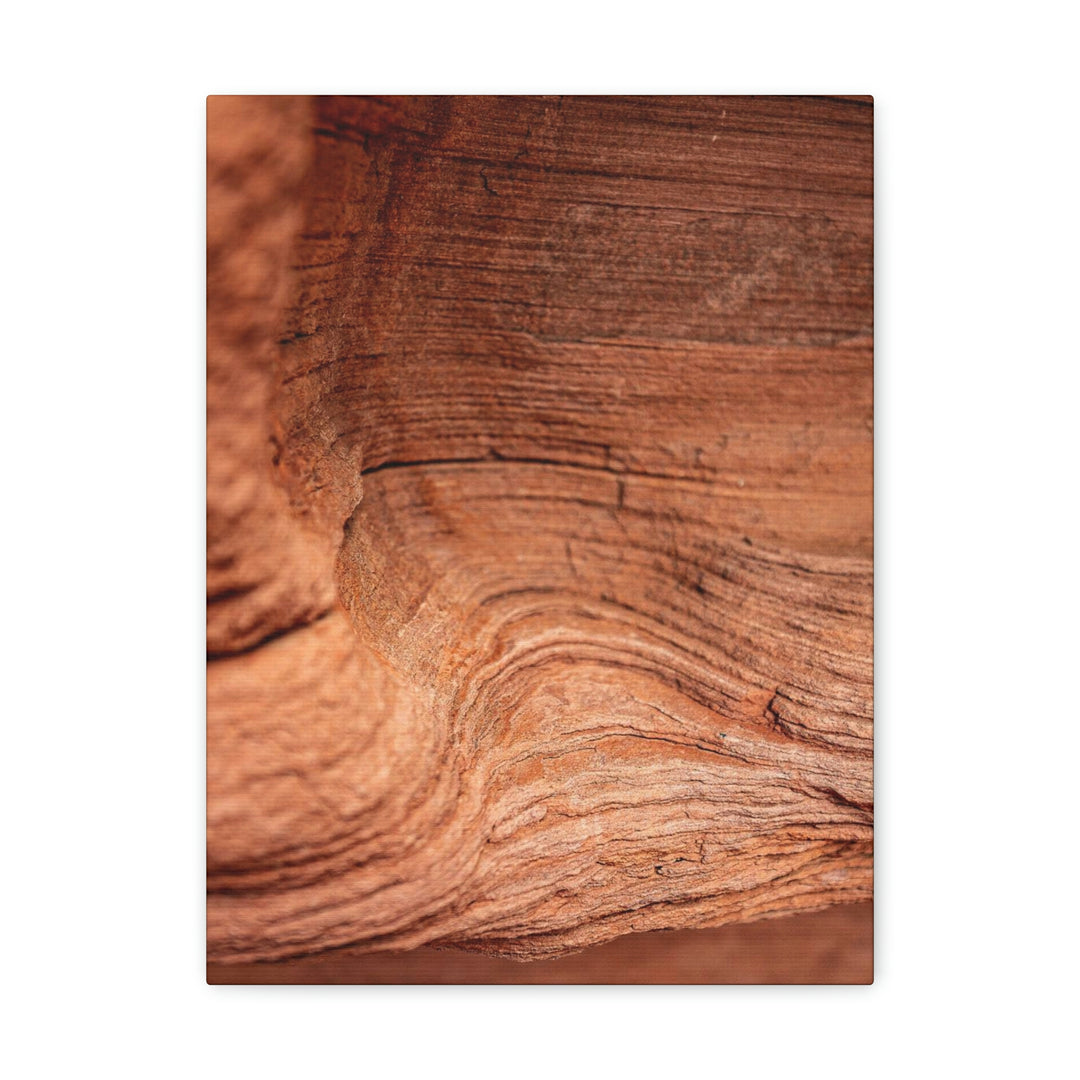 Sedimentary Rock Curves - Canvas