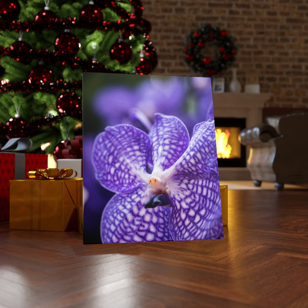 Orchid Detail - Canvas