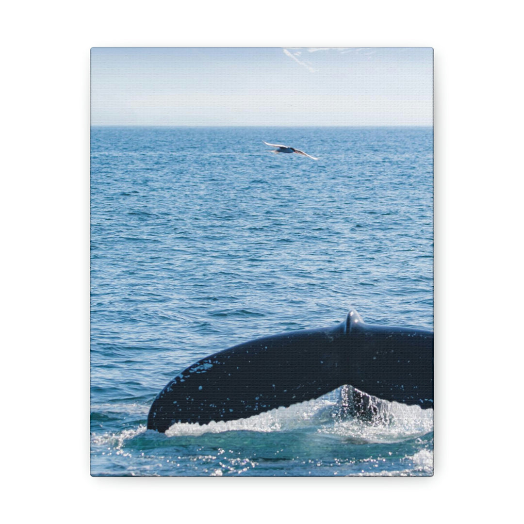 A Whale and A Mountain - Canvas