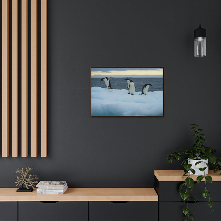 Penguin Dance - Canvas with Frame