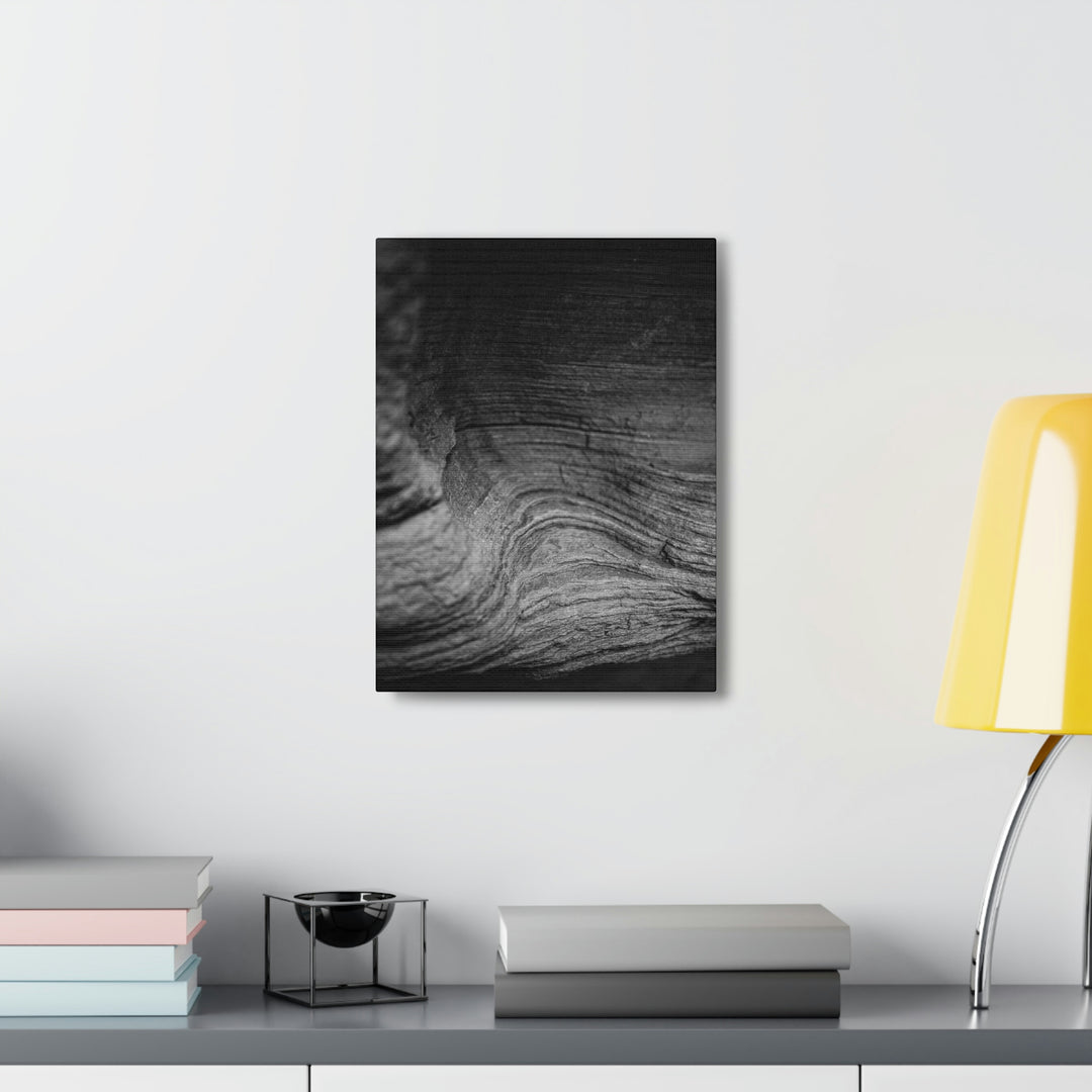 Sedimentary Rock Curves in Black and White - Canvas