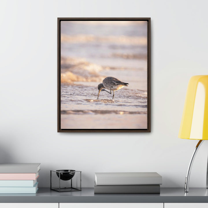 Willet Itch - Canvas with Frame