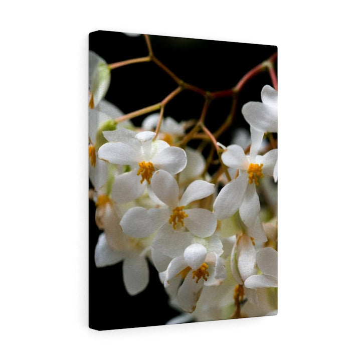 Floral Network - Canvas