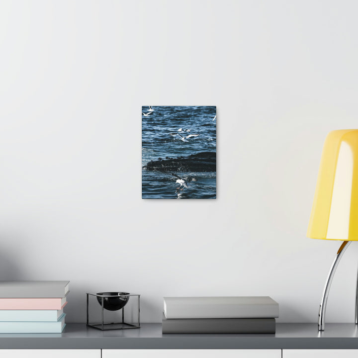 Humpback Hello - Canvas