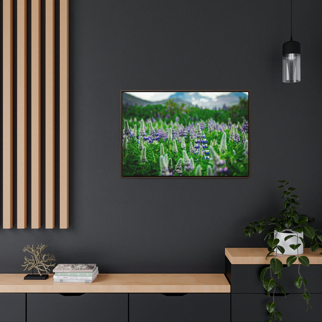 Glowing Lupin with Mountains - Canvas with Frame