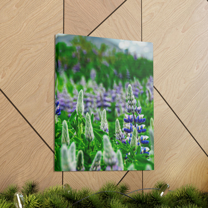 Glowing Lupin with Mountains - Canvas