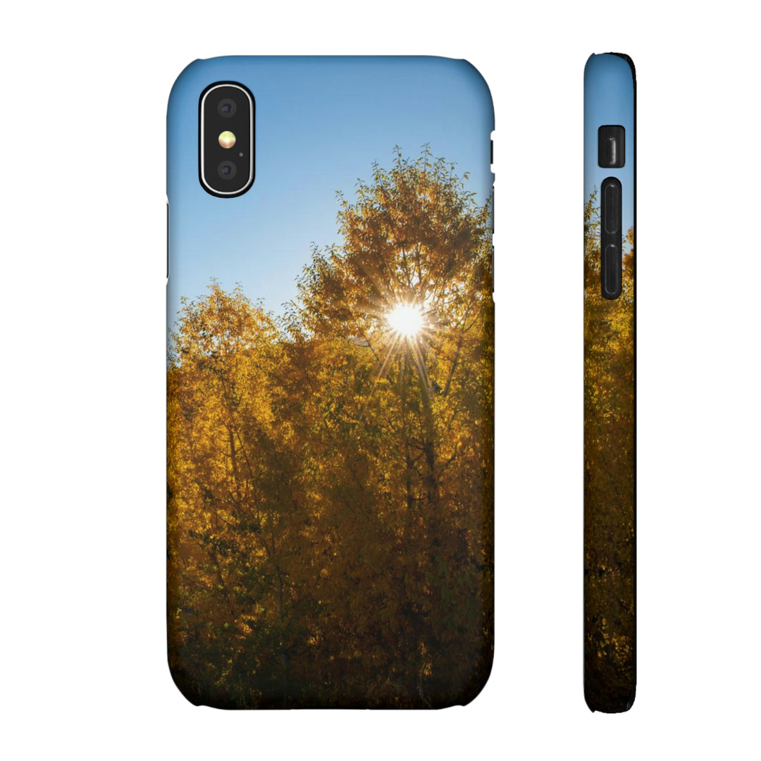 Sun Through the Aspens - Phone Case