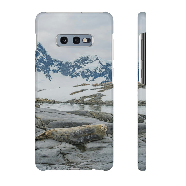 Weddell Relaxing - Phone Case