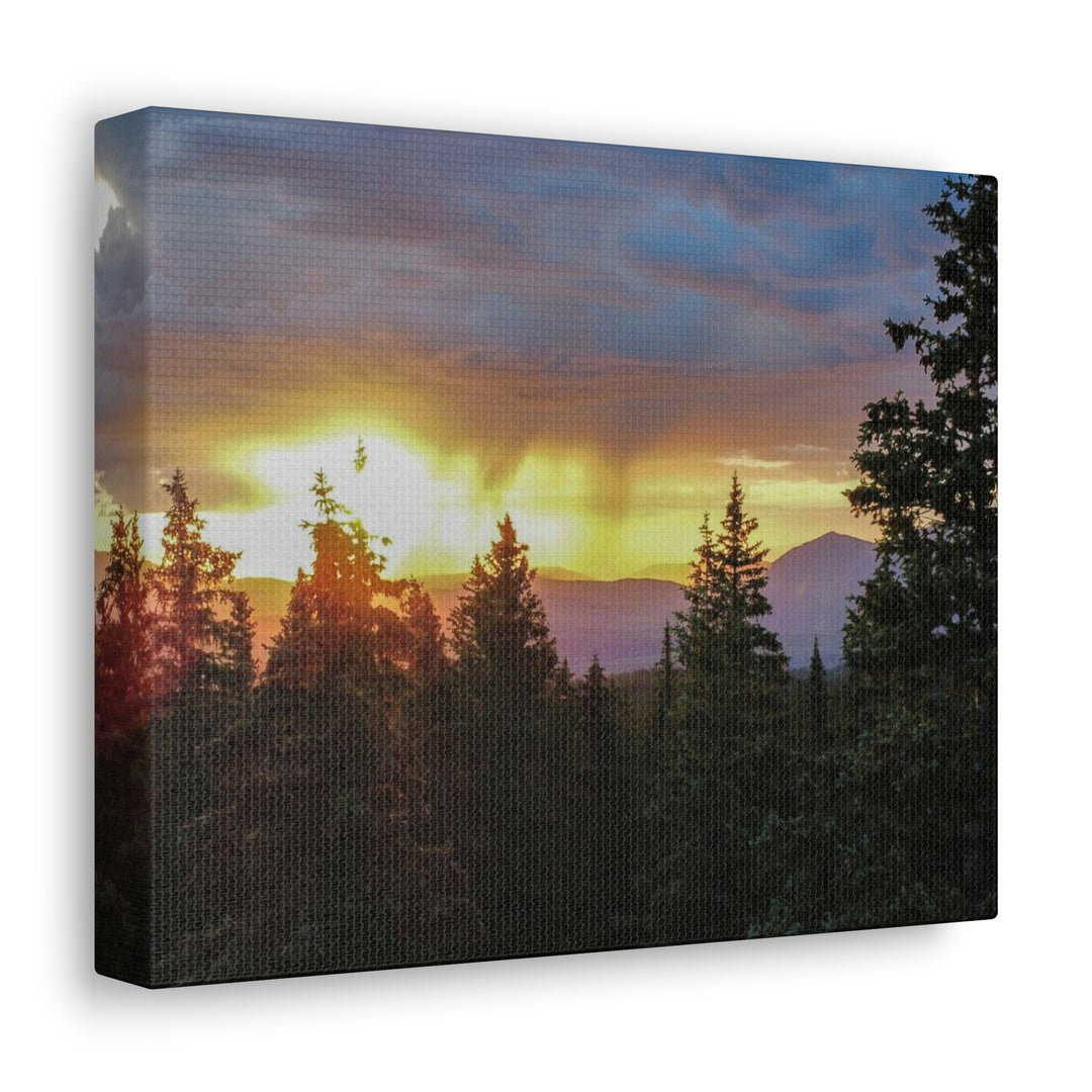 Rainy Sunset Through the Trees - Canvas