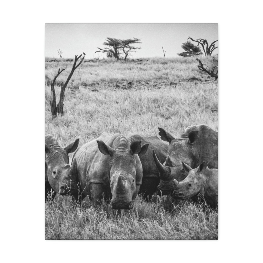 Rhino Family in Black and White - Canvas