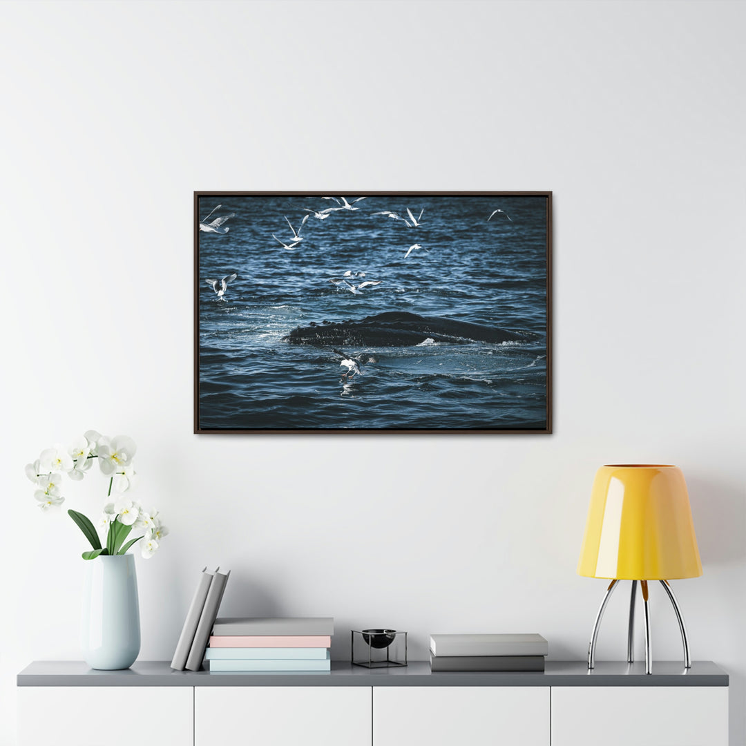 Humpback Hello - Canvas with Frame