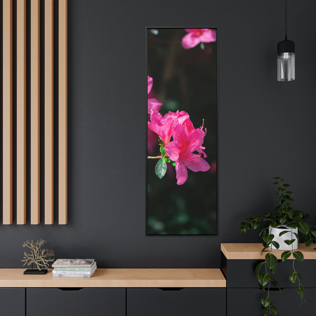 Standout Azalea - Canvas with Frame - Visiting This World