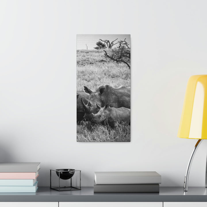 Rhino Family in Black and White - Canvas