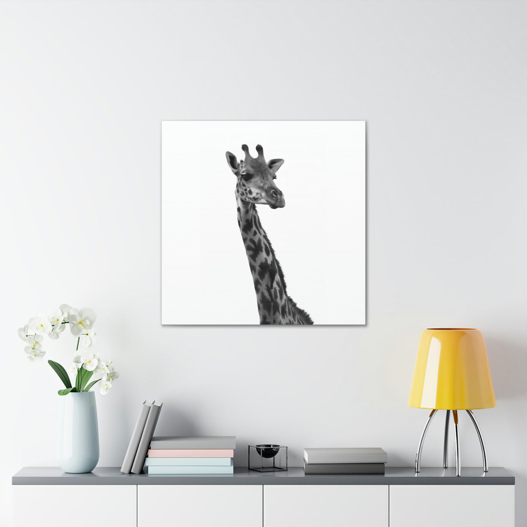 Giraffe Portrait in Black and White  - Canvas