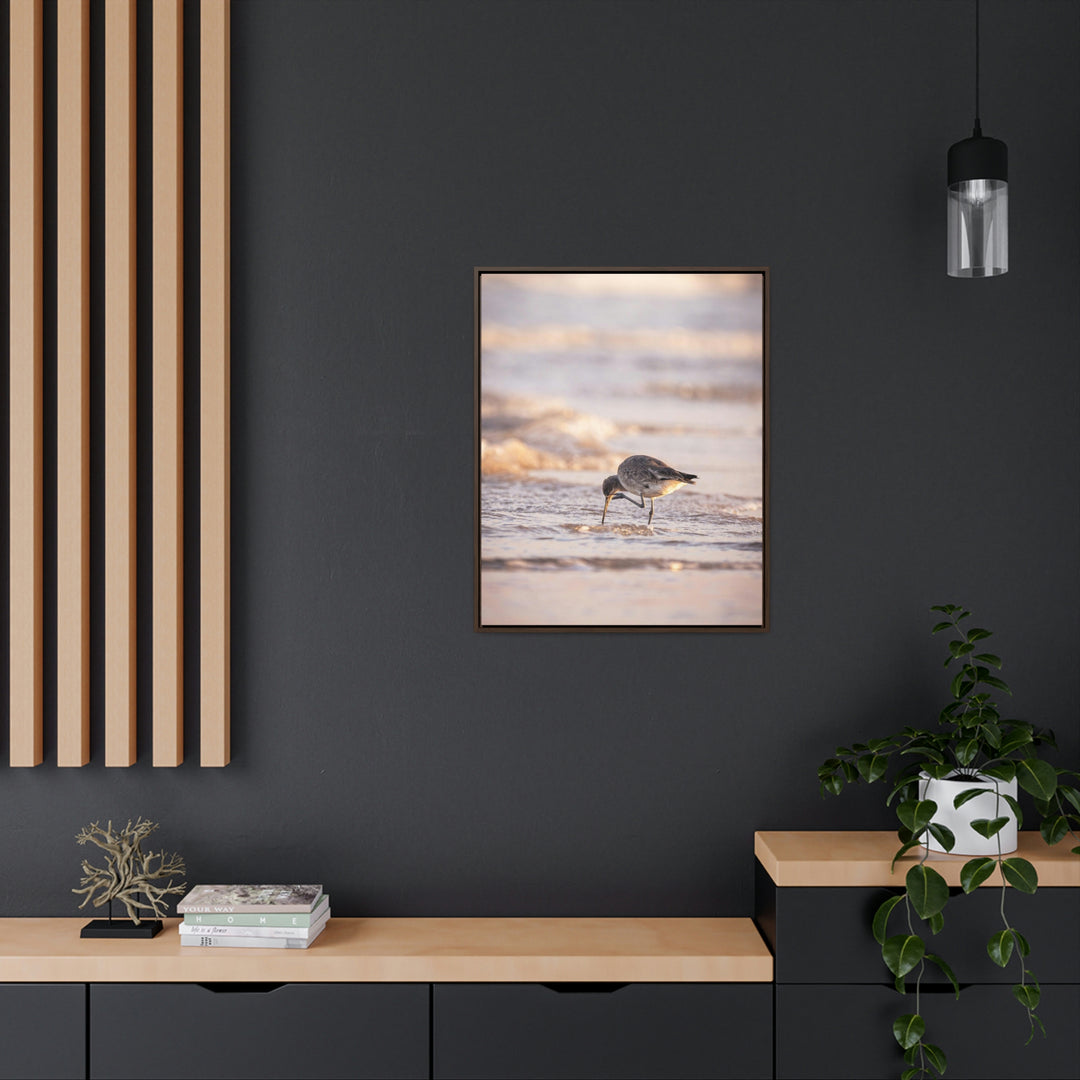 Willet Itch - Canvas with Frame