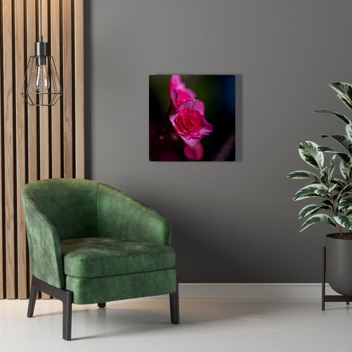 Hybrid Tea Lily - Canvas