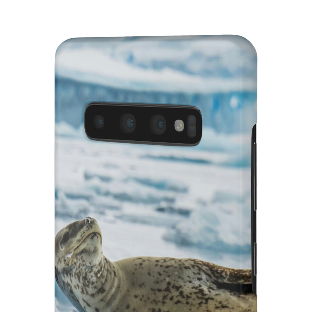 Leopard Seal Relaxing - Phone Case