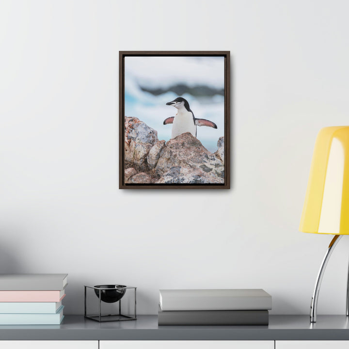 Stretched Penguin - Canvas with Frame