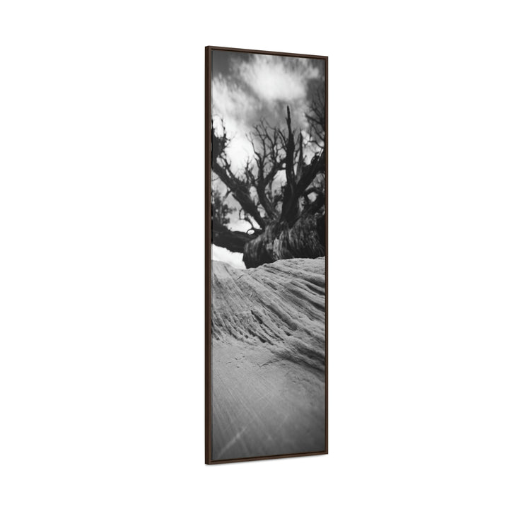 Desert Reach in Black and White - Canvas with Frame