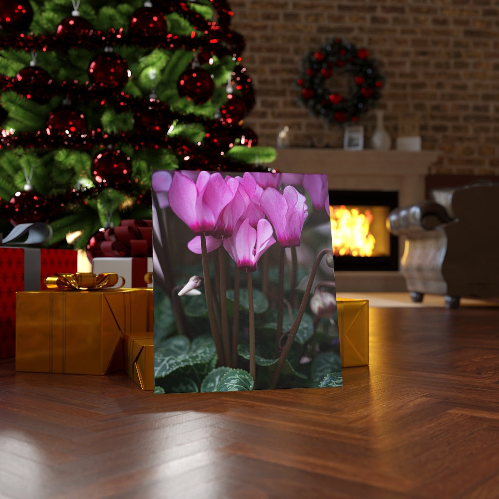 Cyclamen Reach - Canvas