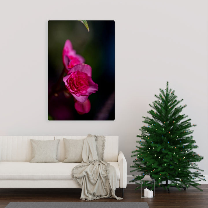 Hybrid Tea Lily - Canvas