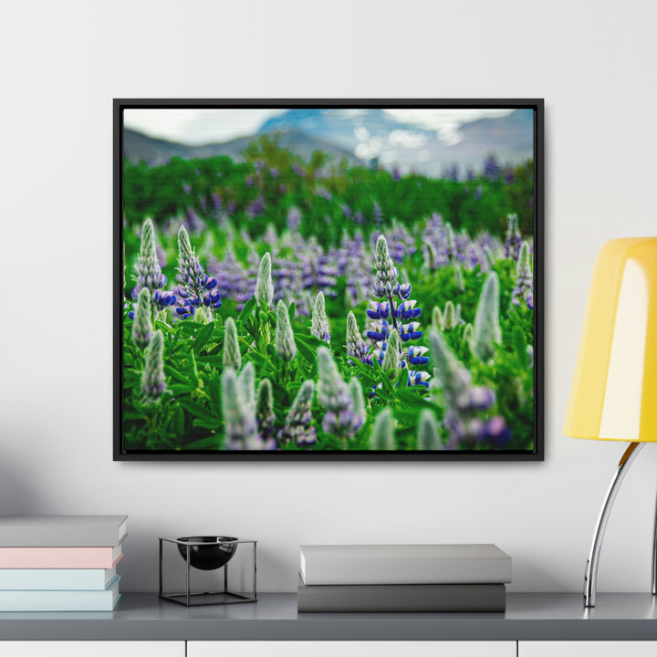 Glowing Lupin with Mountains - Canvas with Frame