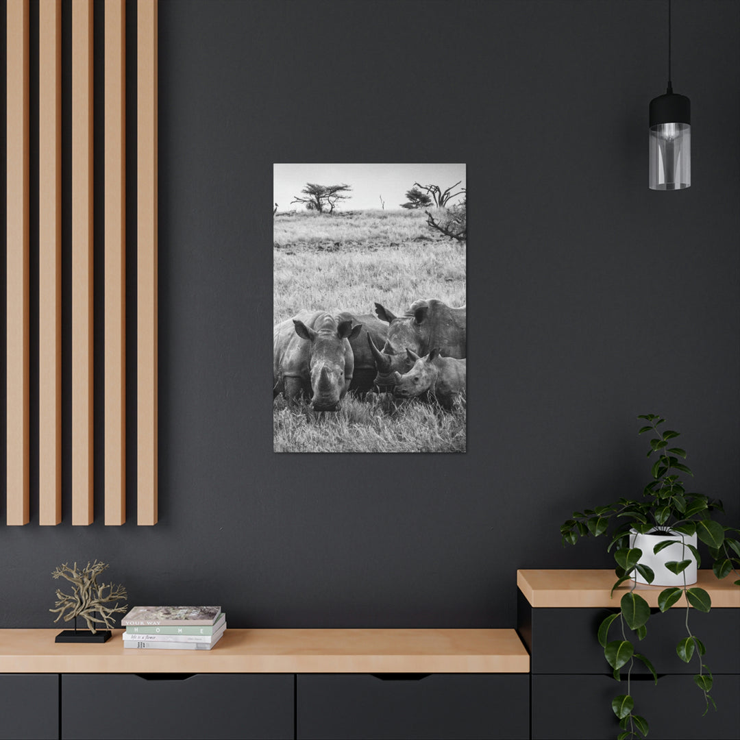 Rhino Family in Black and White - Canvas