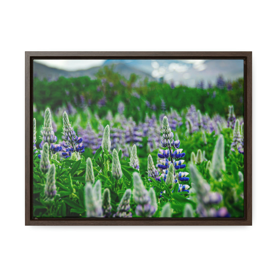 Glowing Lupin with Mountains - Canvas with Frame