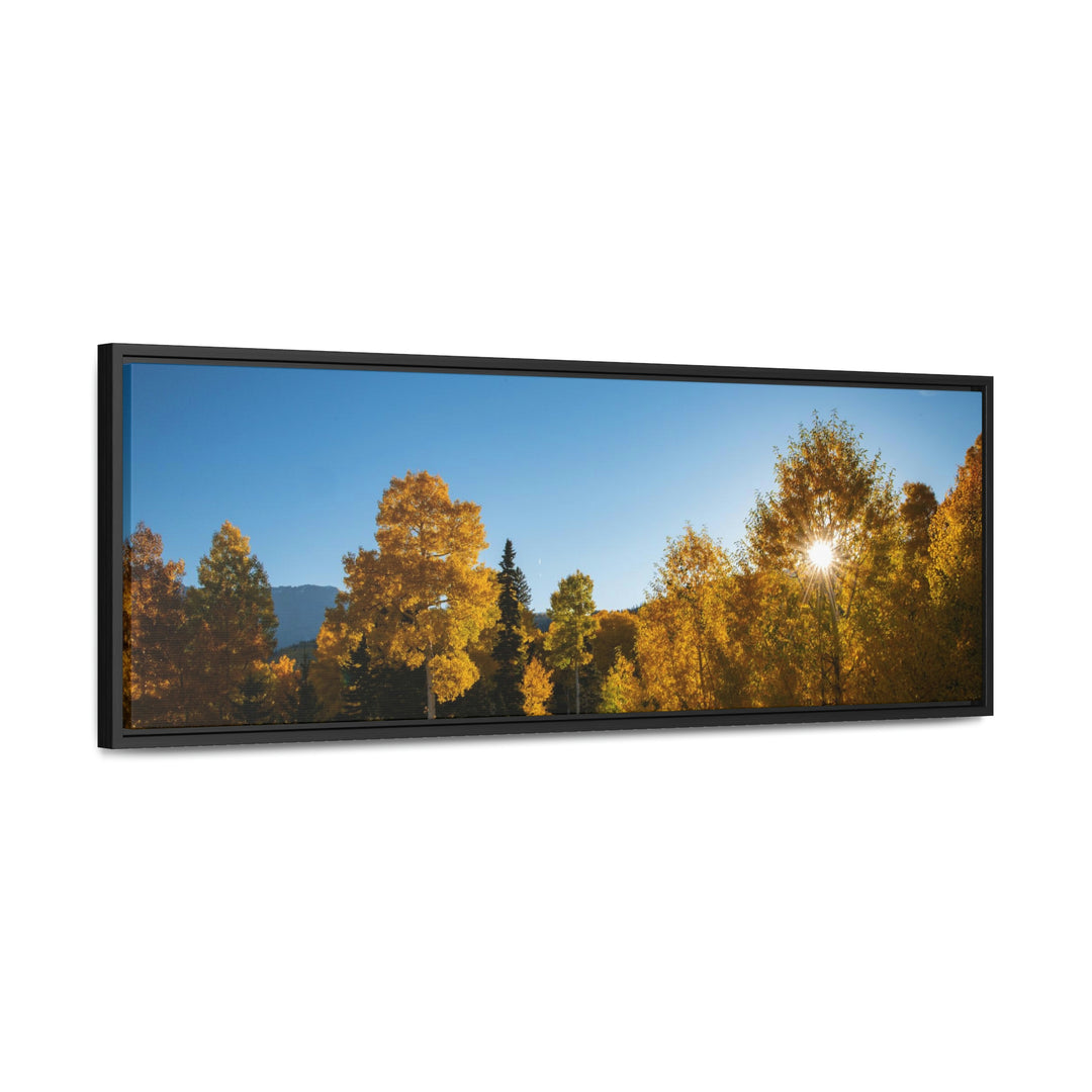 Sun Through the Aspens - Canvas with Frame