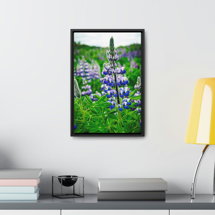 Glowing Lupin - Canvas with Frame