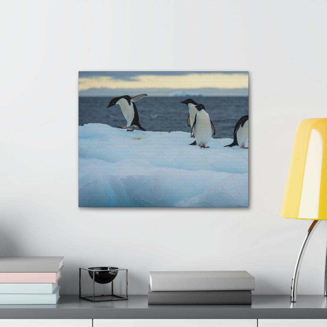 Penguin Dance - Canvas