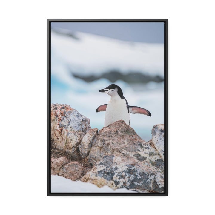 Stretched Penguin - Canvas with Frame