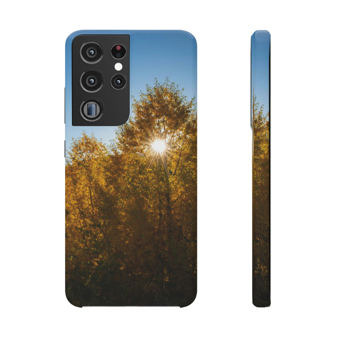 Sun Through the Aspens - Phone Case