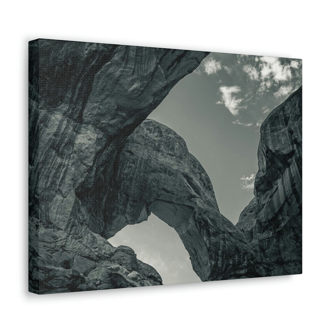 Natural Frames Part 4 in Black and White - Canvas