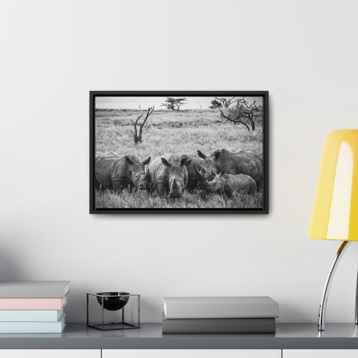 Rhino Family in Black and White - Canvas with Frame