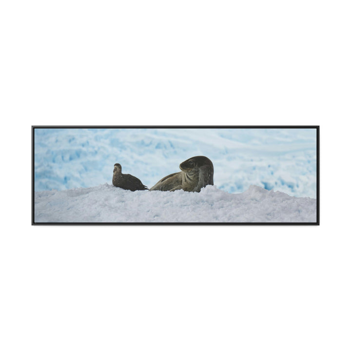 A Resting Pair - Canvas with Frame