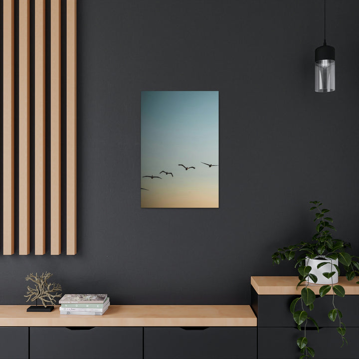 Brown Pelicans in Flight - Canvas