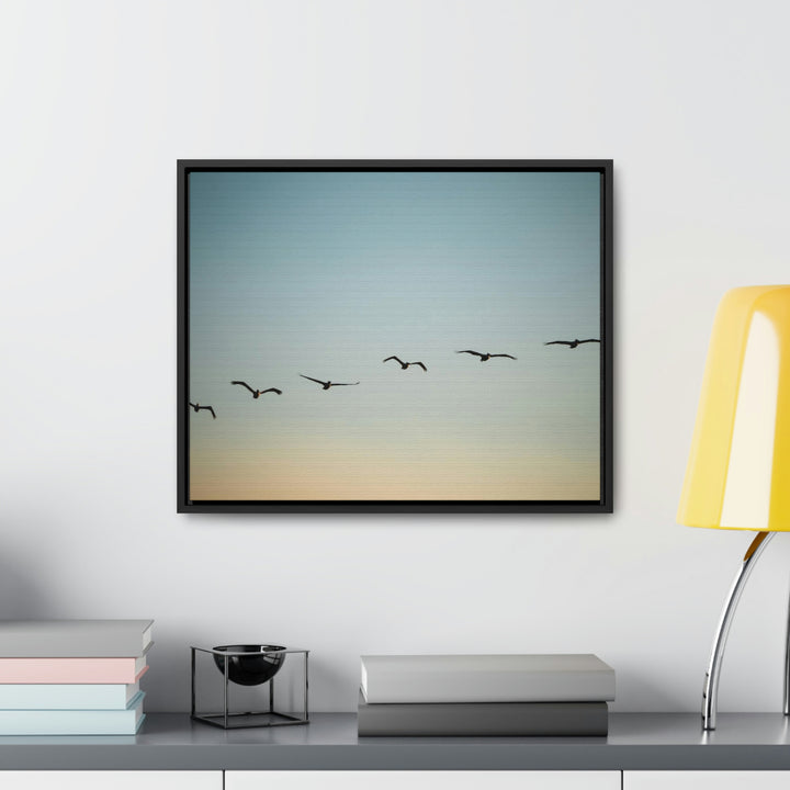 Brown Pelicans in Flight - Canvas with Frame