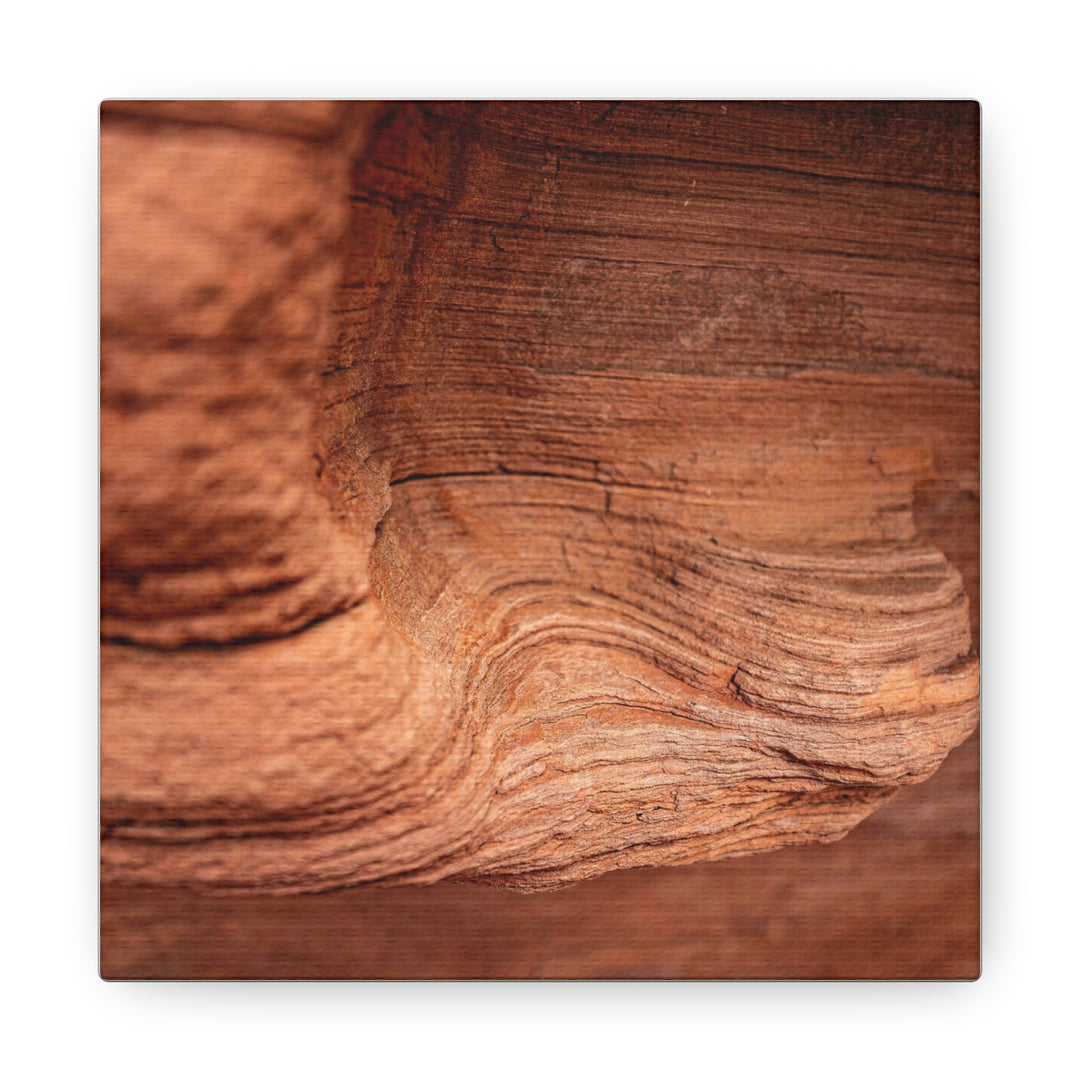 Sedimentary Rock Curves - Canvas